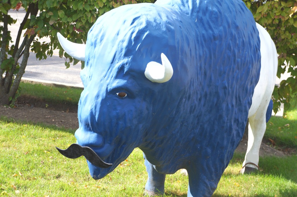 Movember Full Buffalo